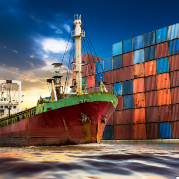 Home untitled design 2025 11 23t175612.905