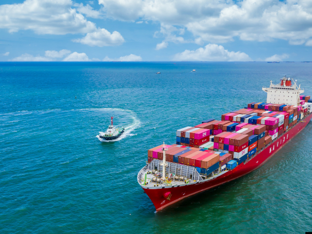 untitled design 2025 11 23t184737.318 untitled design 2025 11 23t184737.318